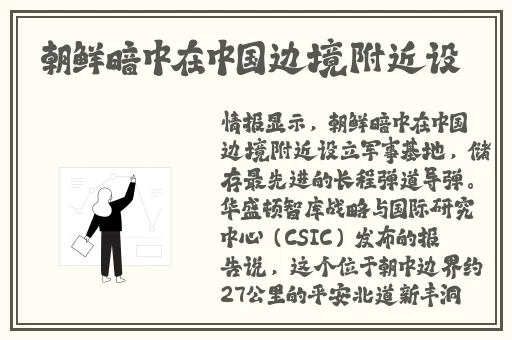 一个人免费观看的WWW哔哩哔哩